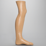 Partial Leg, with Foot and Ankle, Encased