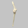 Knee Insert, Arthroscopy Knee Insert, Arthroscopy
