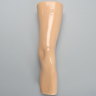 Knee Joint with Patella and Ligaments, Fully Encased