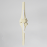 Knee Joint with Patella and Ligaments, Fully Encased