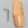 Compression Screw Guidewire Navigation Trainer