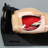 Arthroscopy Hip, on Deluxe Stand