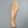Hip, Fully Encased
