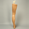 Leg, Soft Tissue, with Removable Bones Leg, Soft Tissue, with Removable Bones