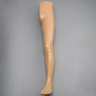 Leg, Encased with Soft Tissue, Radiopaque Bones