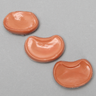Vertebral Disc Set of L5 to L3 with Nucleus