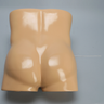 Torso for SI Procedures