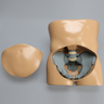 Torso for SI Procedures
