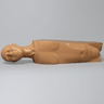 Torso, Partial, With Encased C1-Sacrum Radiopaque Spine
