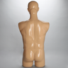 Torso, Full, Spine Holder with Radiopaque Iliac Crests