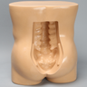 Vertebroplasty Trunk, Short