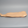 Opaque Cover for Spine Holder