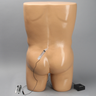 Facet and SI Joint Injection Trunk