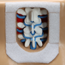 Lumbar Vertebrae Soft Tissue Trunk with Window