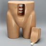 Lumbar Vertebrae Soft Tissue Trunk with Window
