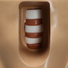 Lumbar Vertebrae Soft Tissue Trunk with Window