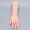 Wrist, Encased, with Transverse Fracture, Artery, Nerve, and Tendons