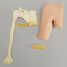 Arthroscopy Shoulder, Simulator for SCR