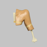 Arthroscopy Shoulder, Simulator with Skin