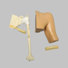 Arthroscopy Shoulder, Simulator with Skin