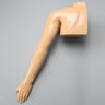 Arm and Partial Shoulder without Bones for Casting