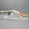 Knee Stand with Swivel Clamp