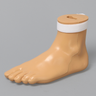 Distal Tibia Holder