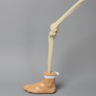 Distal Tibia Holder