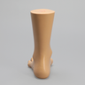 Foot and Ankle, Encased, with Bunions, Hammertoe, and Heel Spur