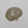 Dura, Suturable, for Cranial Access Model