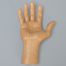 Palmar Insert