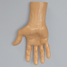 Carpal Tunnel Arthroscopy Wrist Trainer
