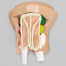 Arthroscopy Wrist Trainer