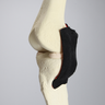 Knee, Full Length with Menisci and Capsule