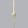 Knee Insert, ACL, Solid Foam