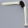 Knee Insert, Encapsulated ACL, Medium