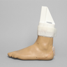 Arthroscopy EPF Foot and Ankle Trainer