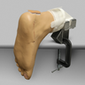 Arthroscopy EPF Foot and Ankle Trainer