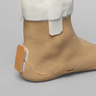 Arthroscopy EPF Foot and Ankle Trainer
