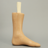 Archie Advanced Arthroscopy Ankle