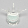 Vertebra L3 with Replaceable Cancellous Insert
