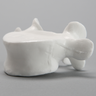 Vertebra, L5, Solid White Plastic