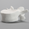 Vertebra, L4, Solid White Plastic