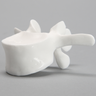 Vertebra, L3, Solid White Plastic