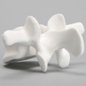 Vertebra, L3, Solid White Plastic