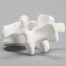 Vertebra, L2, Solid White Plastic