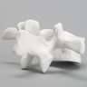 Vertebra, L2, Solid White Plastic