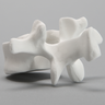 Vertebra, L1, Solid White Plastic