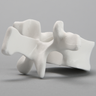 Vertebra, L1, Solid White Plastic