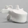 Vertebra, L1, Solid White Plastic